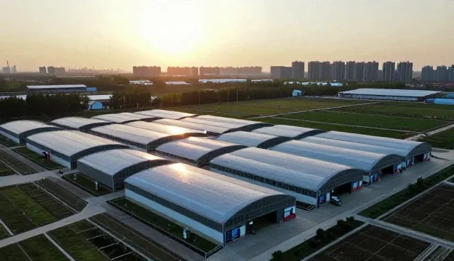 节日礼品套装物流优化中的常见问题与应对策略